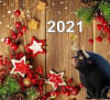План новогодних мероприятий на 2020-2021 г.